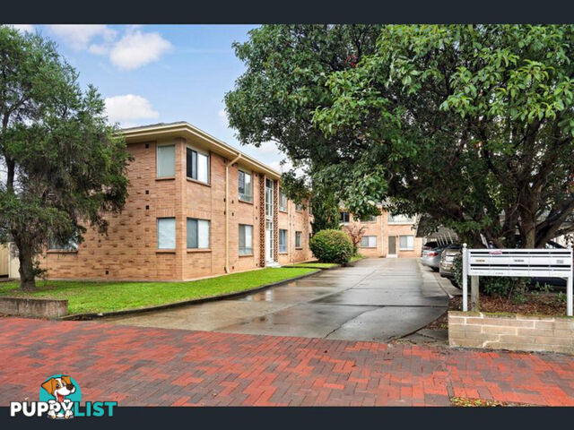 11 11 Dulwich Avenue Dulwich SA 5065