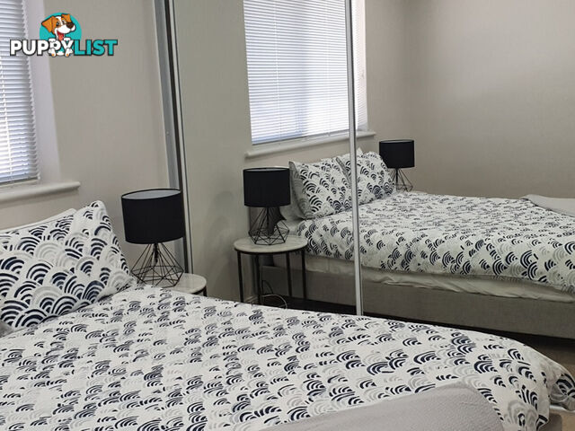 11 11 Dulwich Avenue Dulwich SA 5065