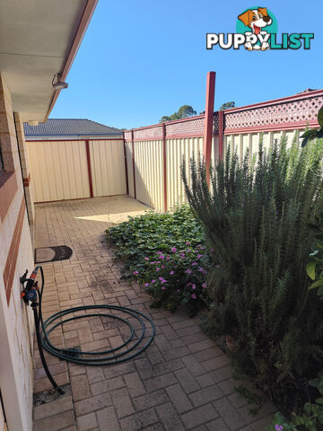 C 3 Henry Street Midland WA 6056