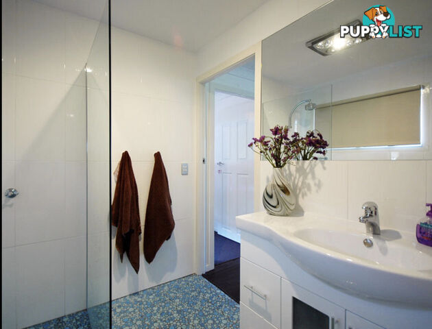 4 35 Atkin Street Tugun QLD 4224