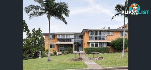 1 41 Sisley Street St Lucia QLD 4067