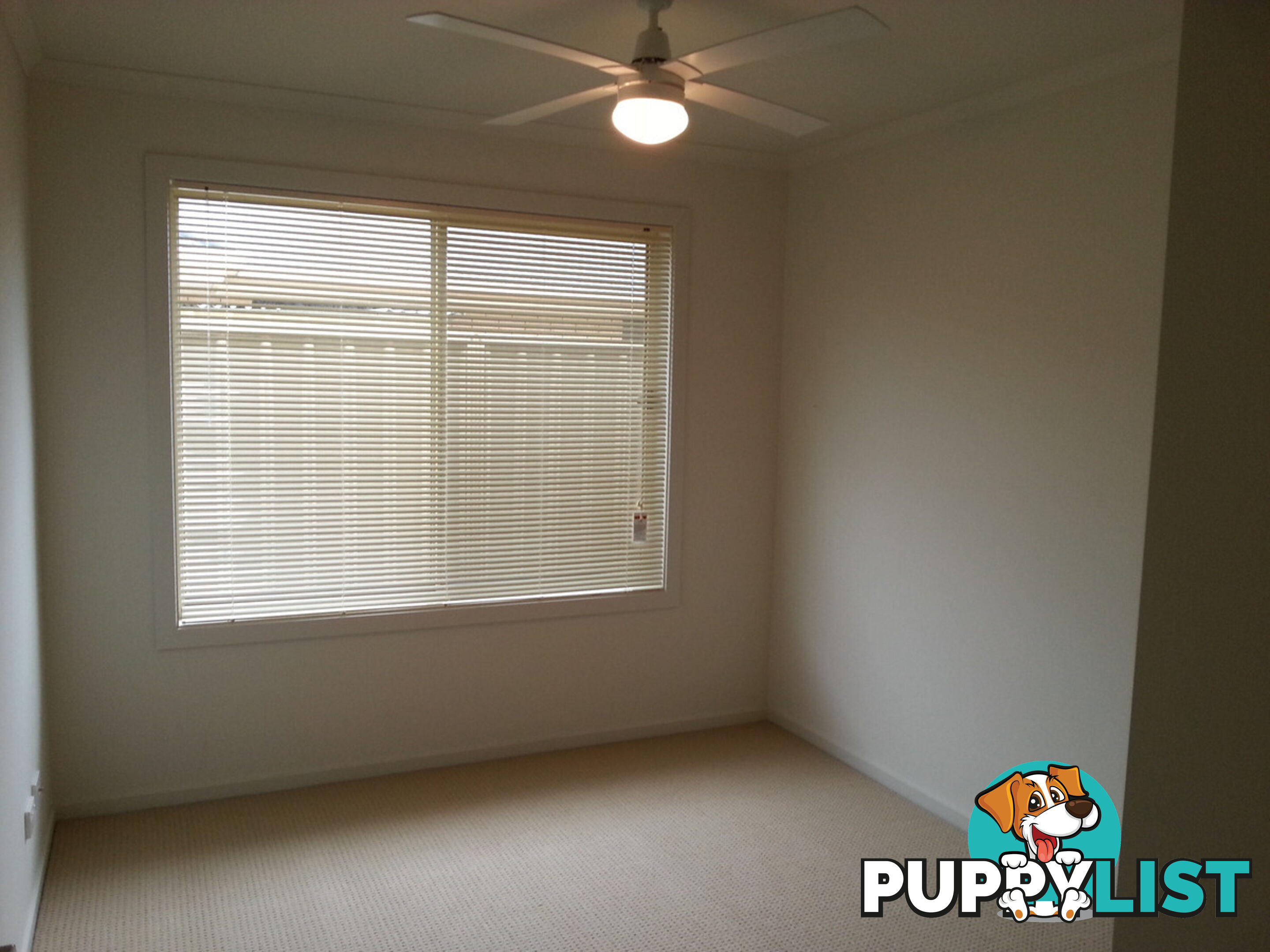 3 Bald Street Smithfield Plains SA 5114