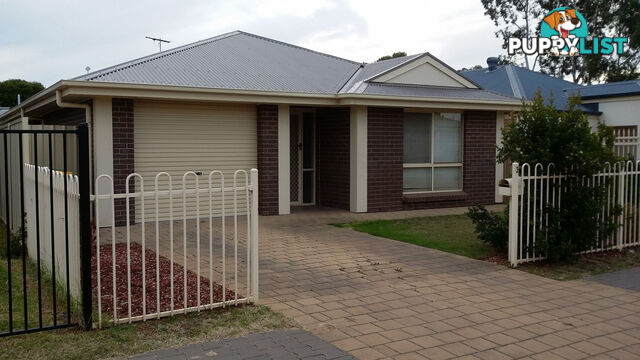 3 Bald Street Smithfield Plains SA 5114