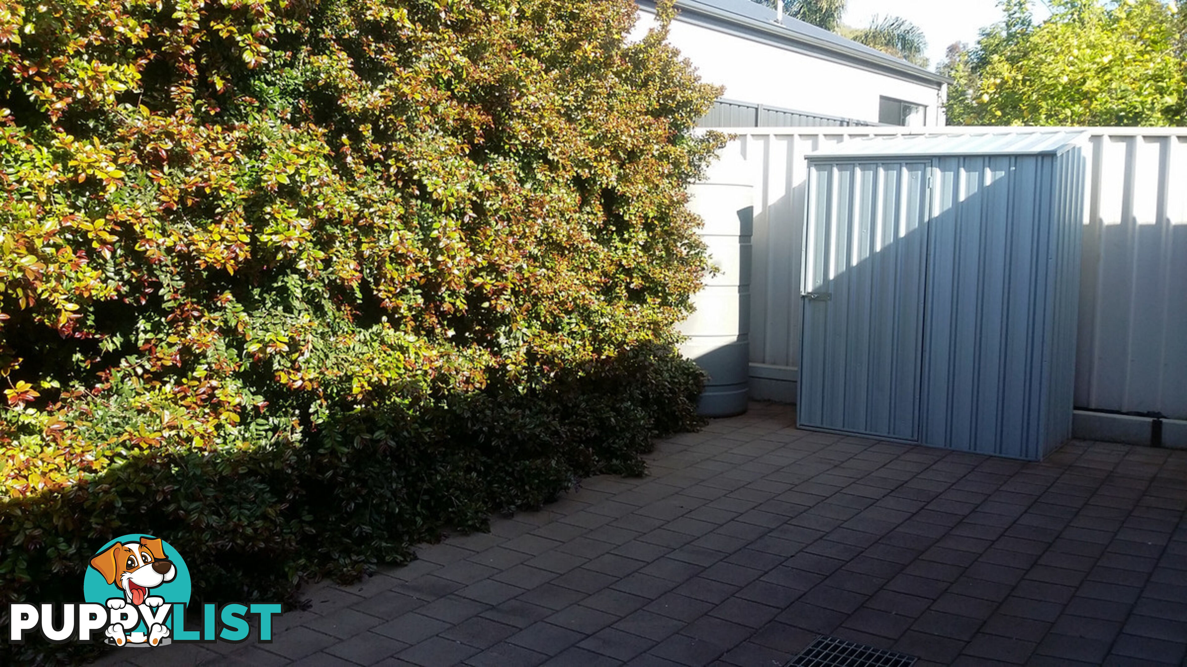 38 Bowman Street Elizabeth Park SA 5113