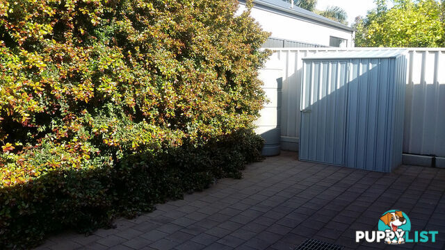 38 Bowman Street Elizabeth Park SA 5113