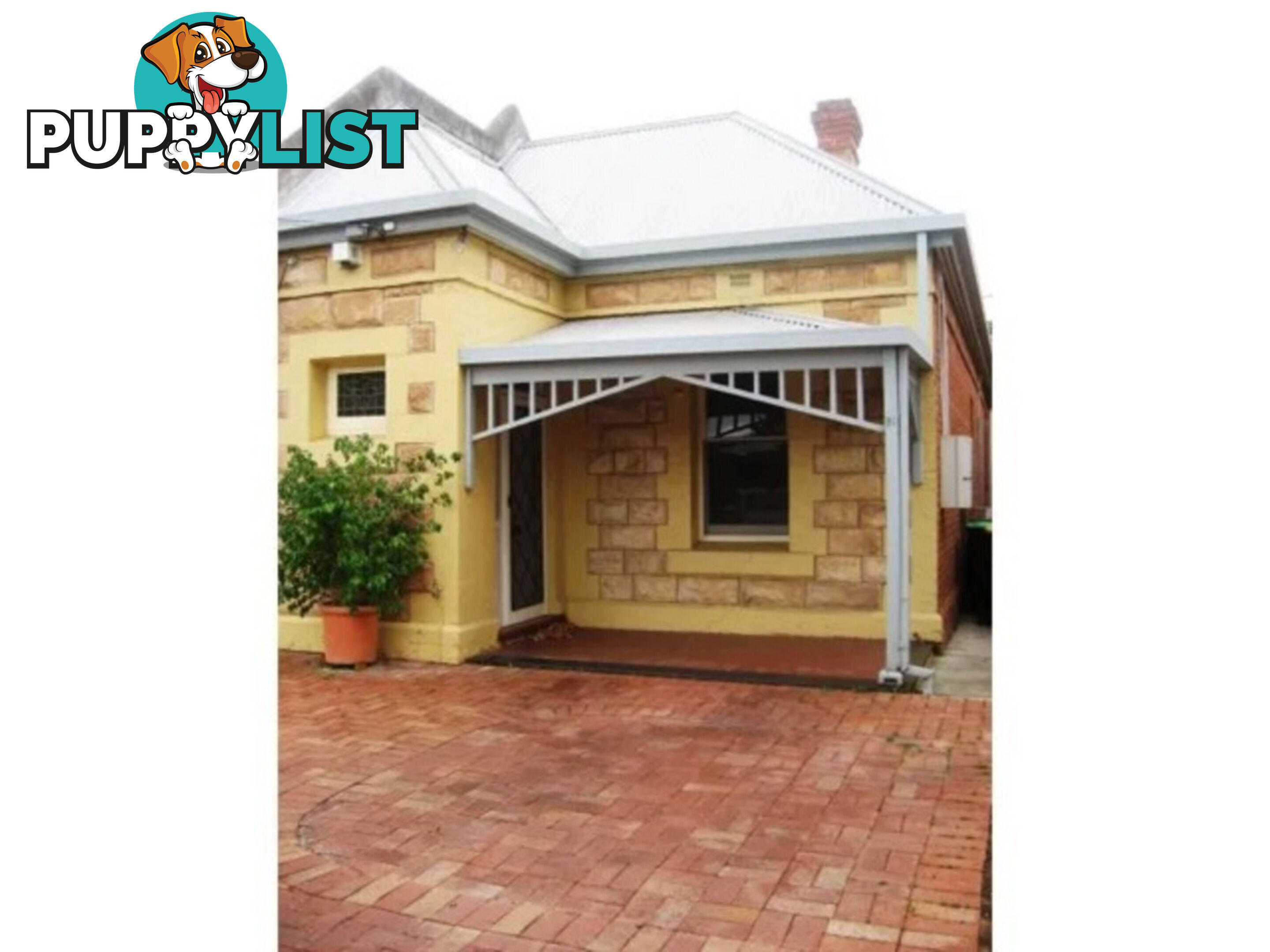 91 Swaine Avenue Rose Park SA 5067