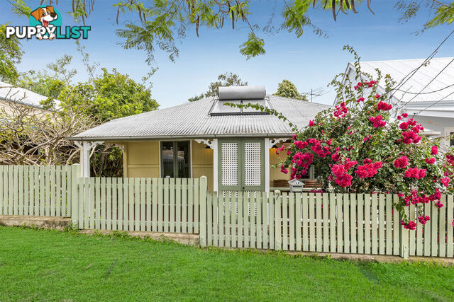 7 Broadway Street Red Hill QLD 4059