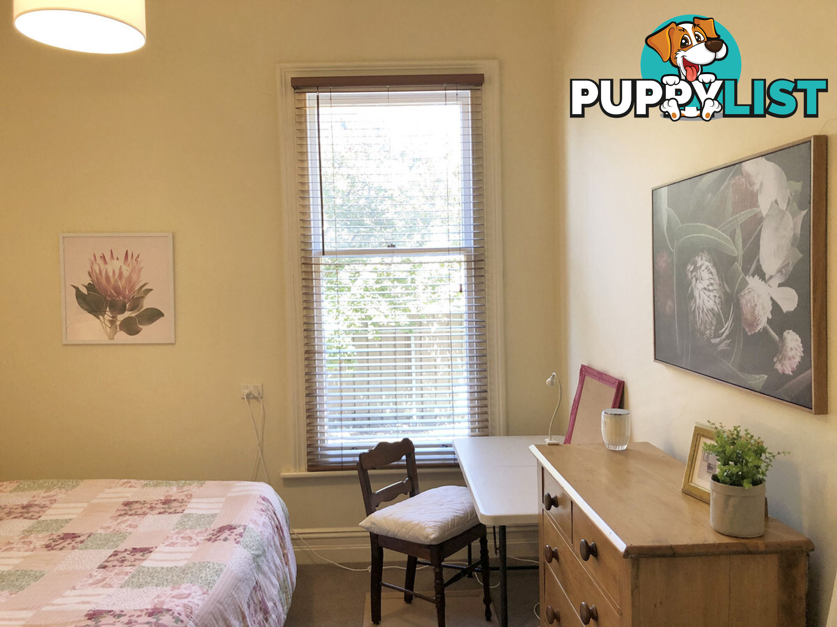 1 42 Sixth Avenue St Peters SA 5069