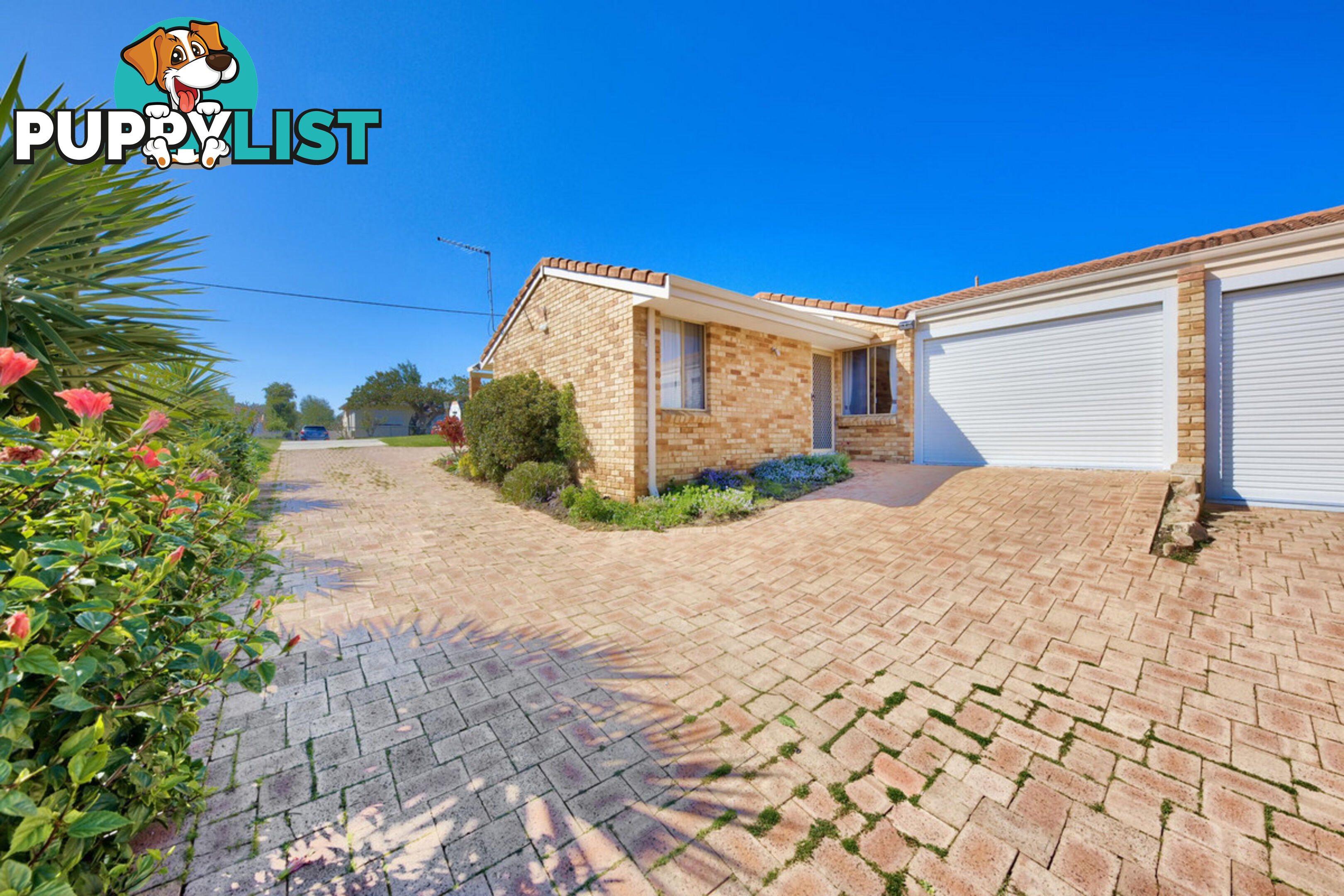 1 71 Colin Road Scarborough WA 6019