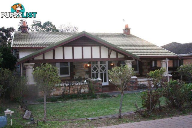 83 Allinga Avenue Street Glenunga SA 5064