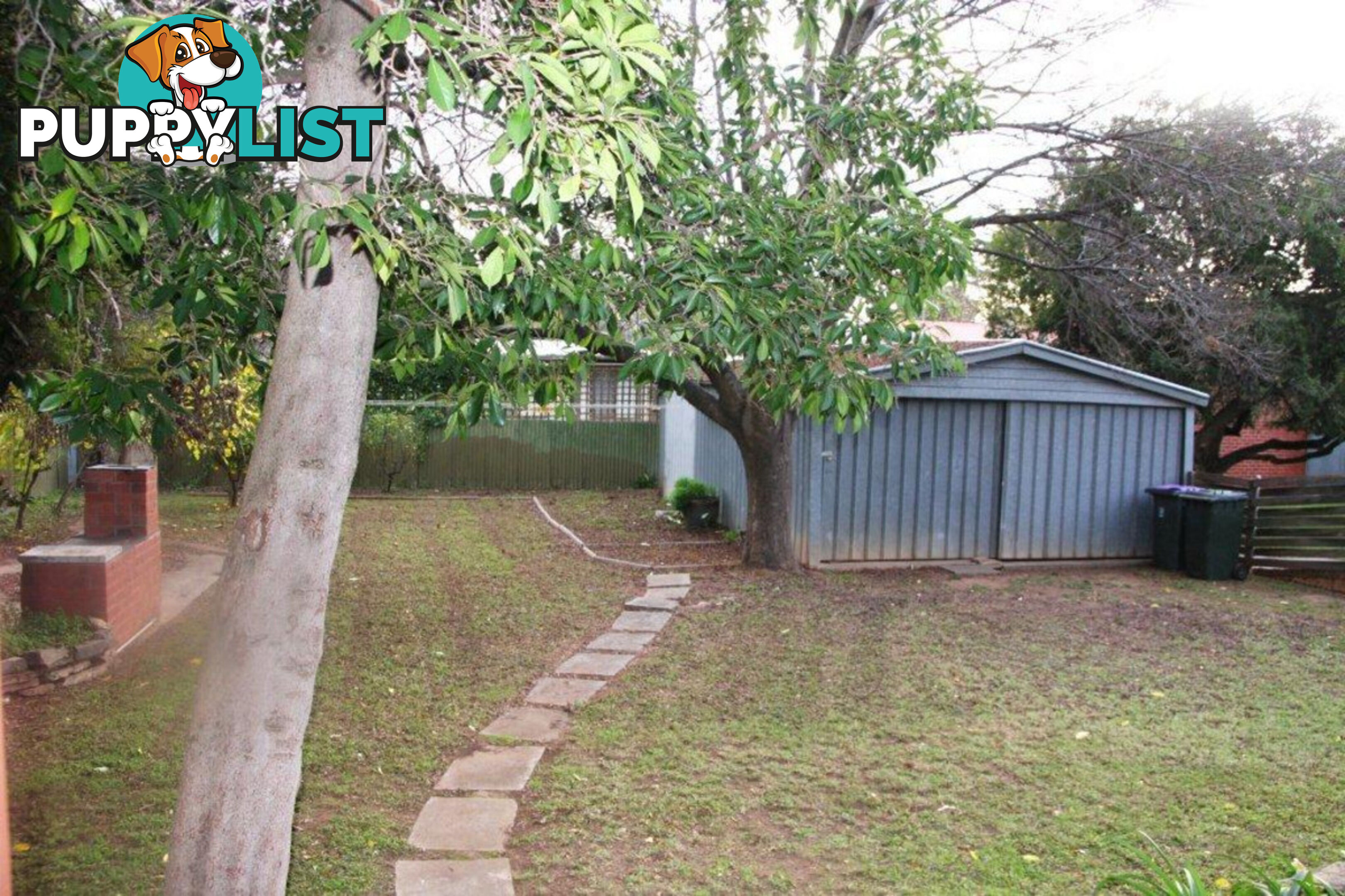 83 Allinga Avenue Street Glenunga SA 5064