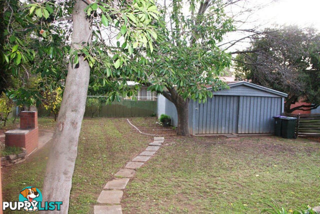 83 Allinga Avenue Street Glenunga SA 5064