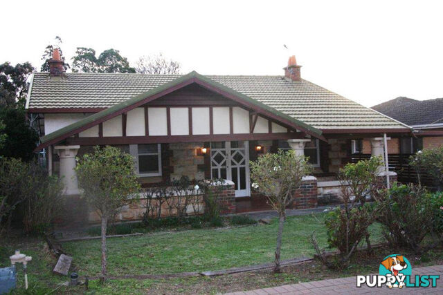 83 Allinga Avenue Street Glenunga SA 5064