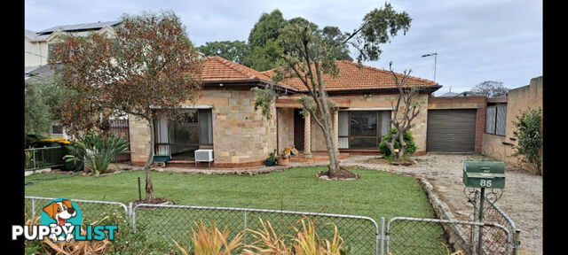 85 Charles Street Prospect SA 5082