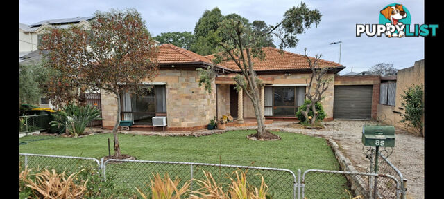 85 Charles Street Prospect SA 5082