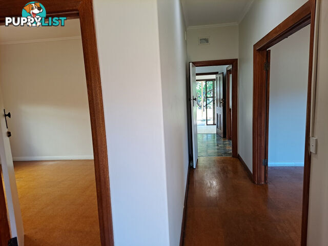 85 Charles Street Prospect SA 5082