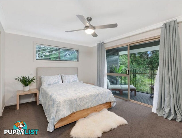 38 Dandar Drive Southport QLD 4215