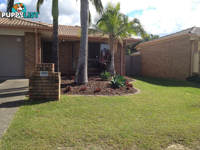 6 Pascali Court Varsity Lakes QLD 4227