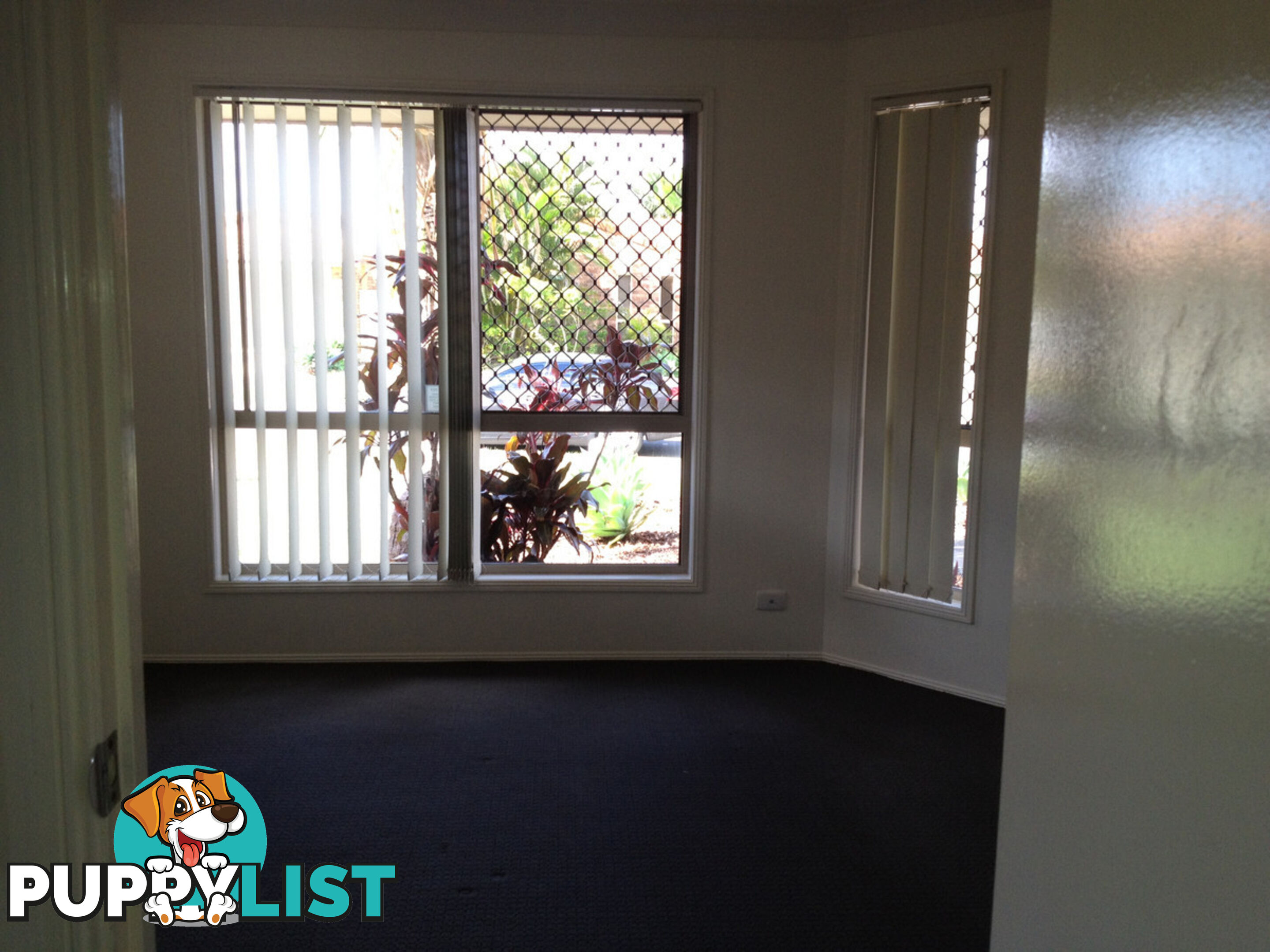 6 Pascali Court Varsity Lakes QLD 4227