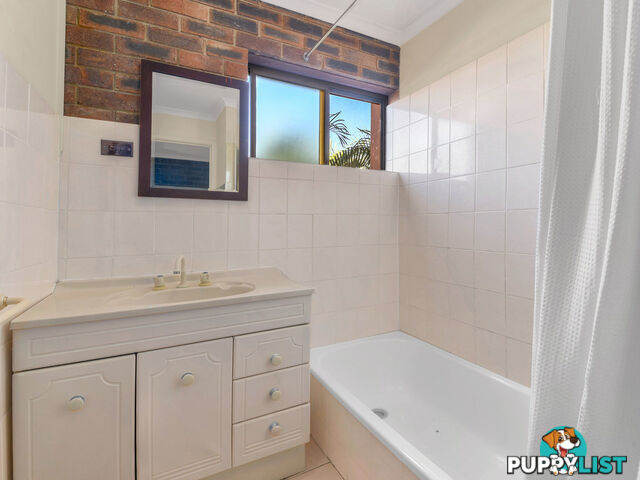 3 16 Skew Street Sherwood QLD 4075