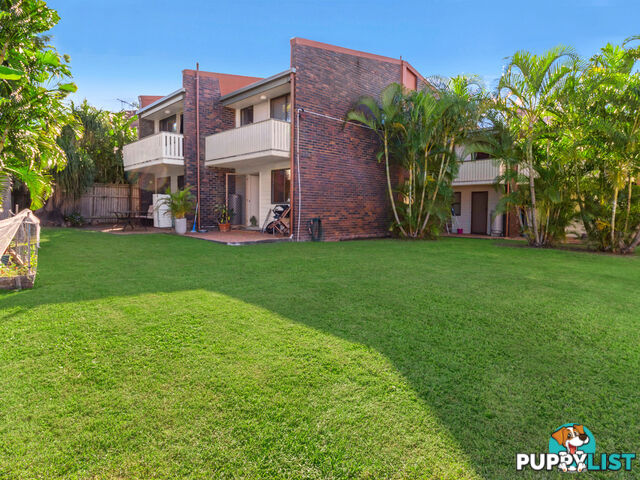 3 16 Skew Street Sherwood QLD 4075