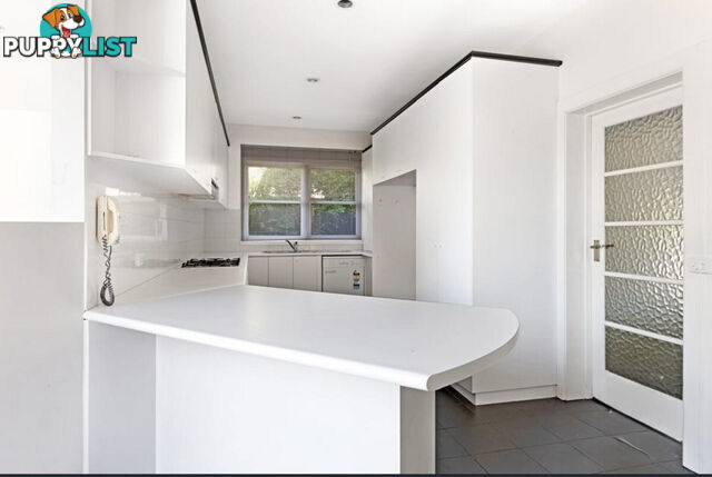5 Wallis Avenue Glen Iris VIC 3146