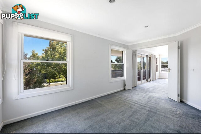5 Wallis Avenue Glen Iris VIC 3146