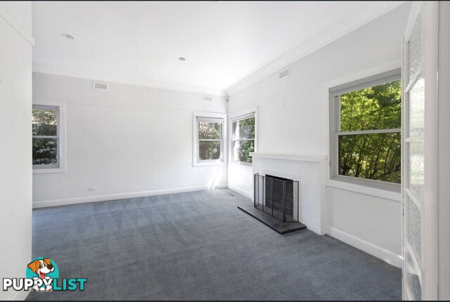 5 Wallis Avenue Glen Iris VIC 3146