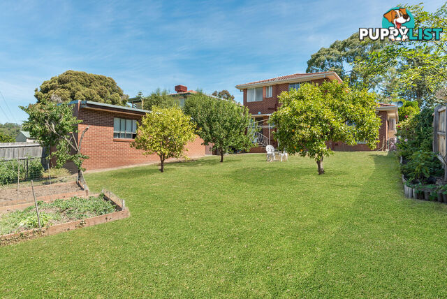 10 Binowee Avenue Yallambie VIC 3085