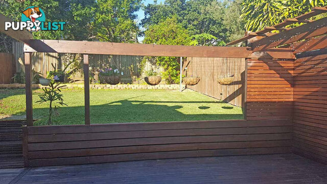 121 Wilston Road Newmarket QLD 4051