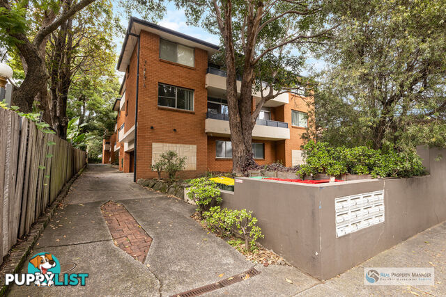 5 155 Frederick Street Ashfield NSW 2131