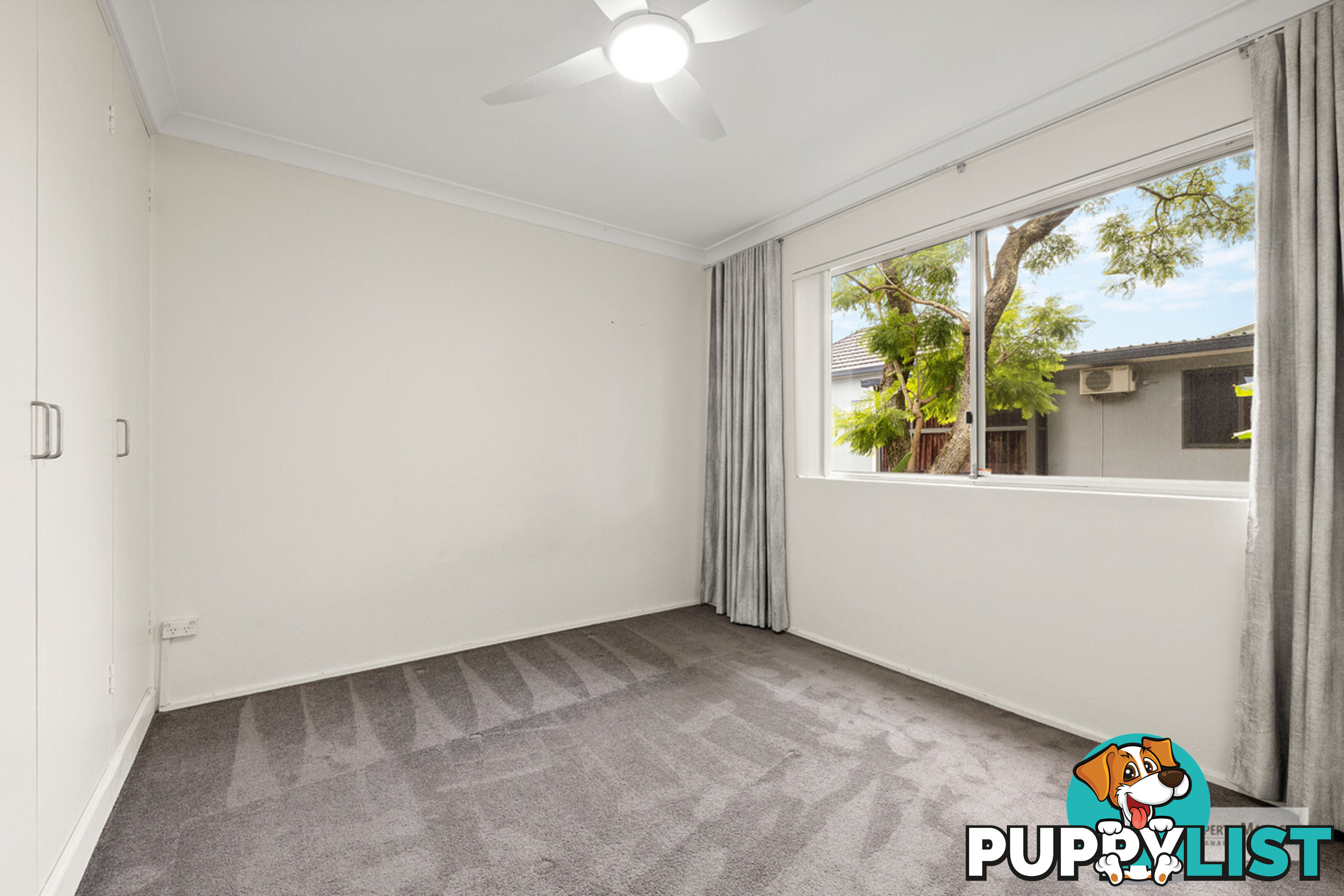 5 155 Frederick Street Ashfield NSW 2131