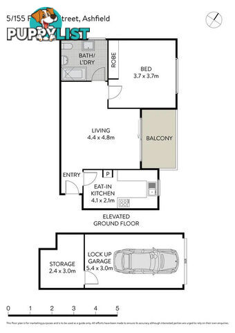 5 155 Frederick Street Ashfield NSW 2131