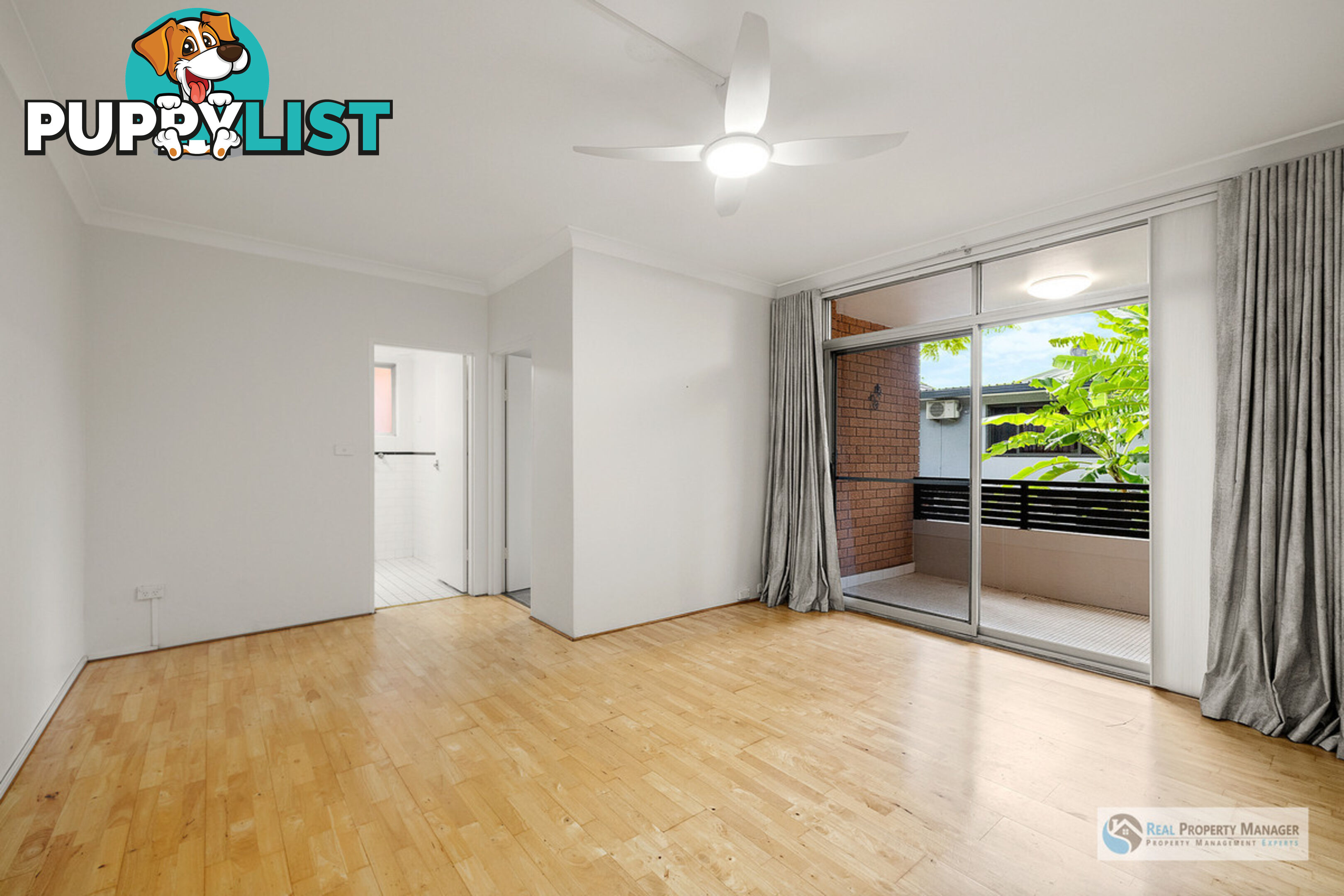 5 155 Frederick Street Ashfield NSW 2131