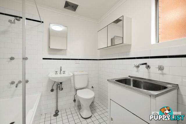 5 155 Frederick Street Ashfield NSW 2131