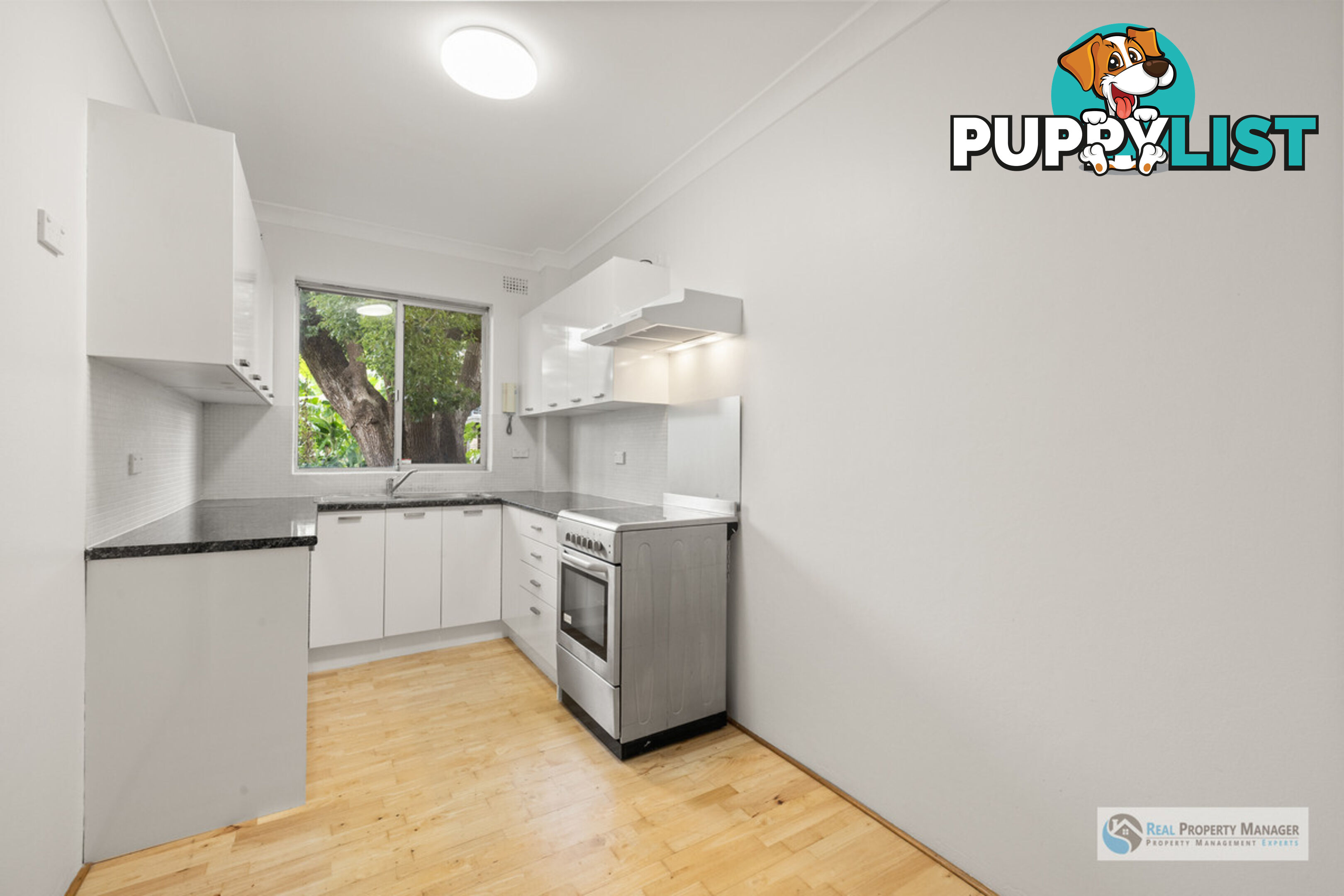 5 155 Frederick Street Ashfield NSW 2131