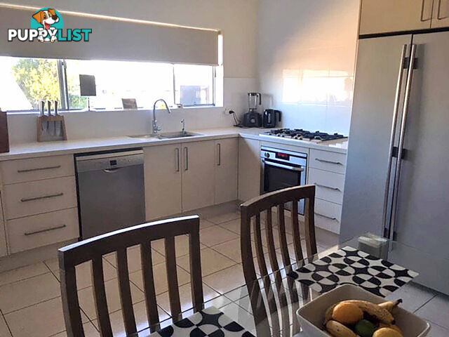 6 34 Duke Street Ascot QLD 4007