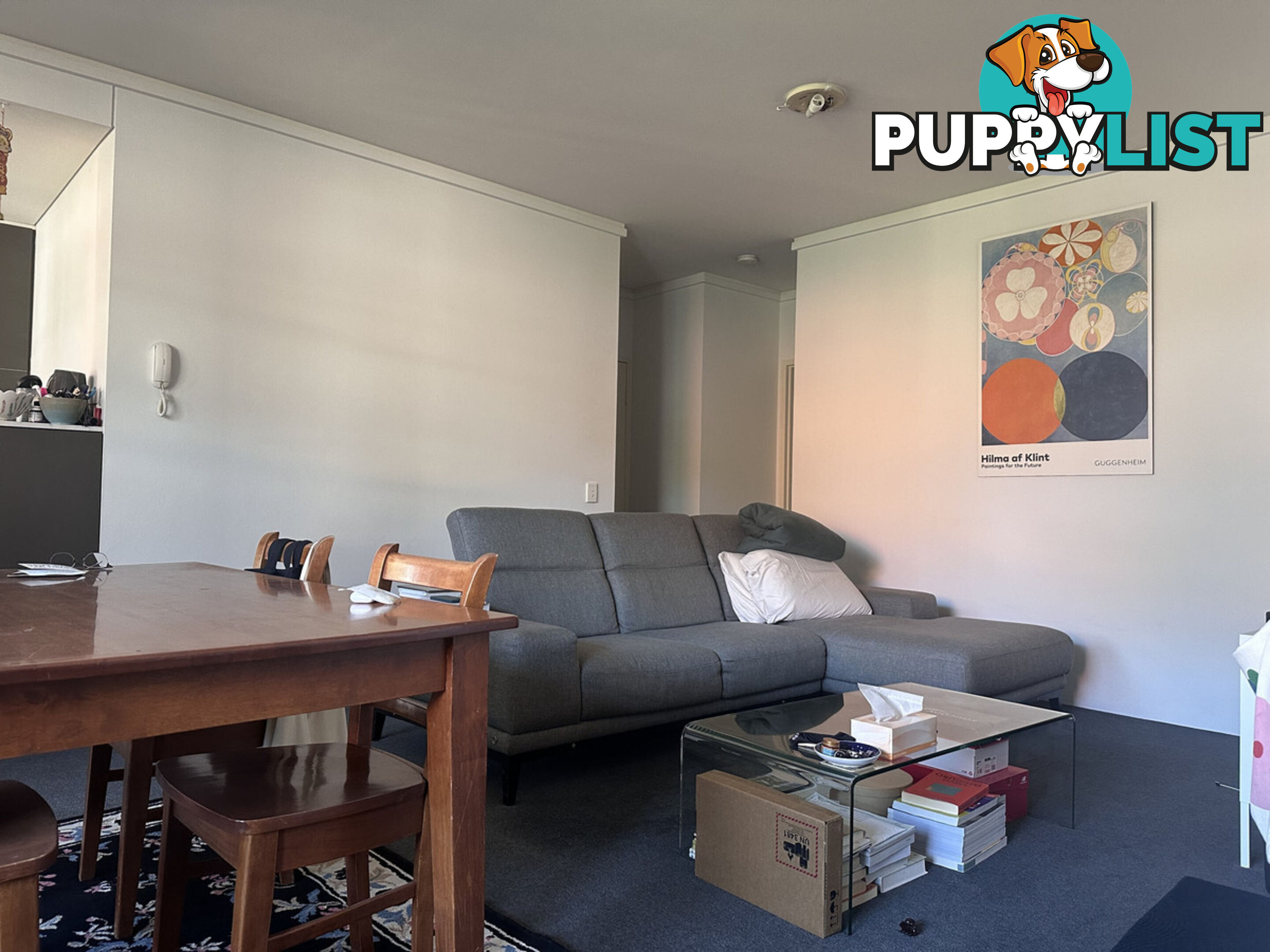 10 Fitzgerald Street Newtown NSW 2042