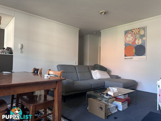 10 Fitzgerald Street Newtown NSW 2042