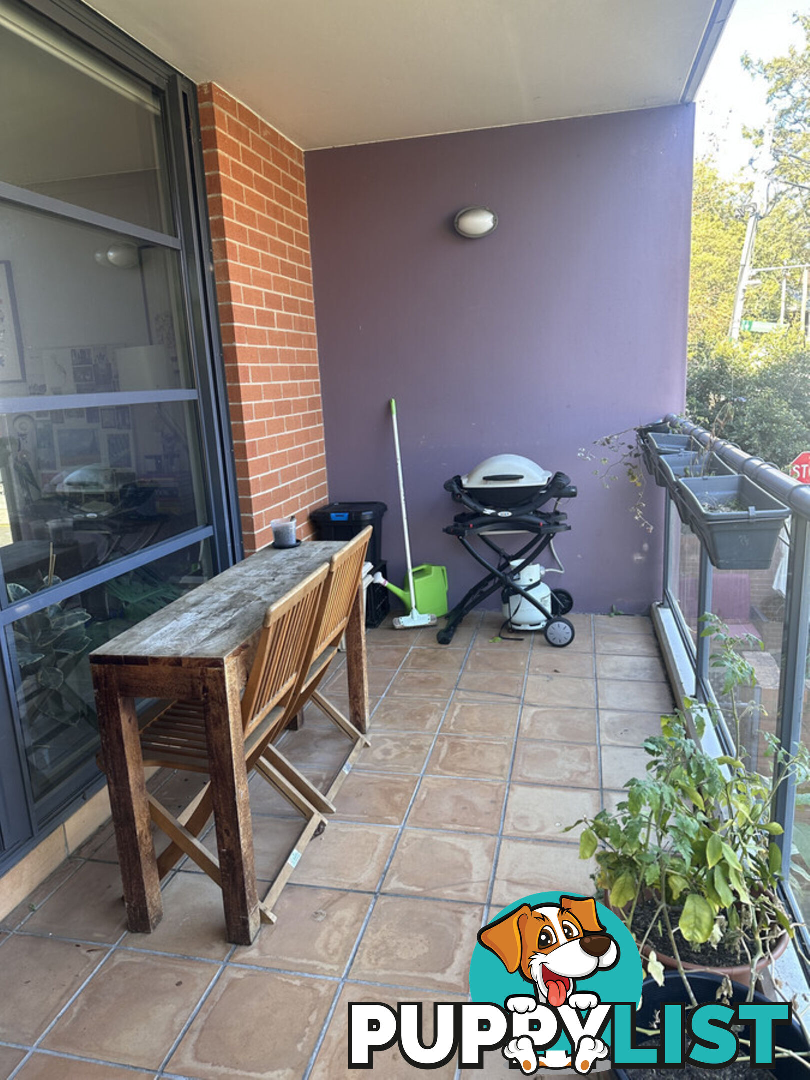 10 Fitzgerald Street Newtown NSW 2042