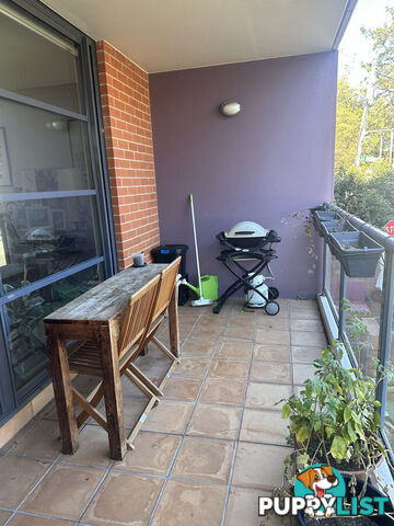 10 Fitzgerald Street Newtown NSW 2042