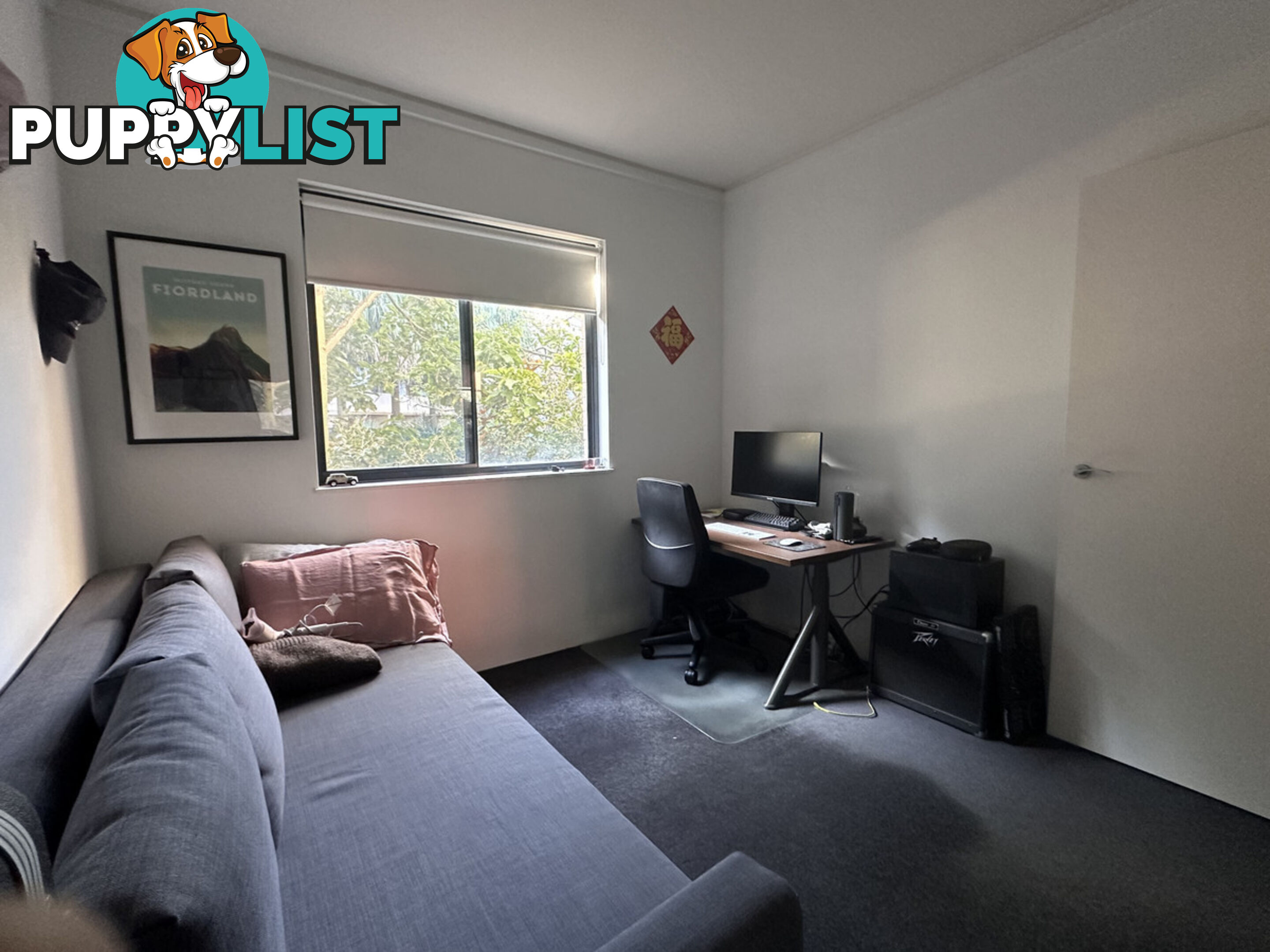 10 Fitzgerald Street Newtown NSW 2042