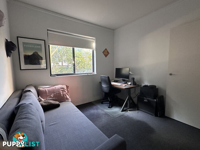 10 Fitzgerald Street Newtown NSW 2042