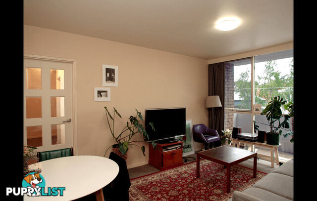 5 60 Fenwick Street Clifton Hill VIC 3068
