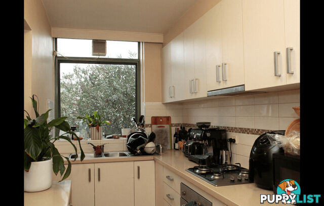 5 60 Fenwick Street Clifton Hill VIC 3068