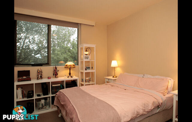 5 60 Fenwick Street Clifton Hill VIC 3068