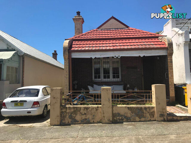 41 Elswick Street Leichhardt NSW 2040