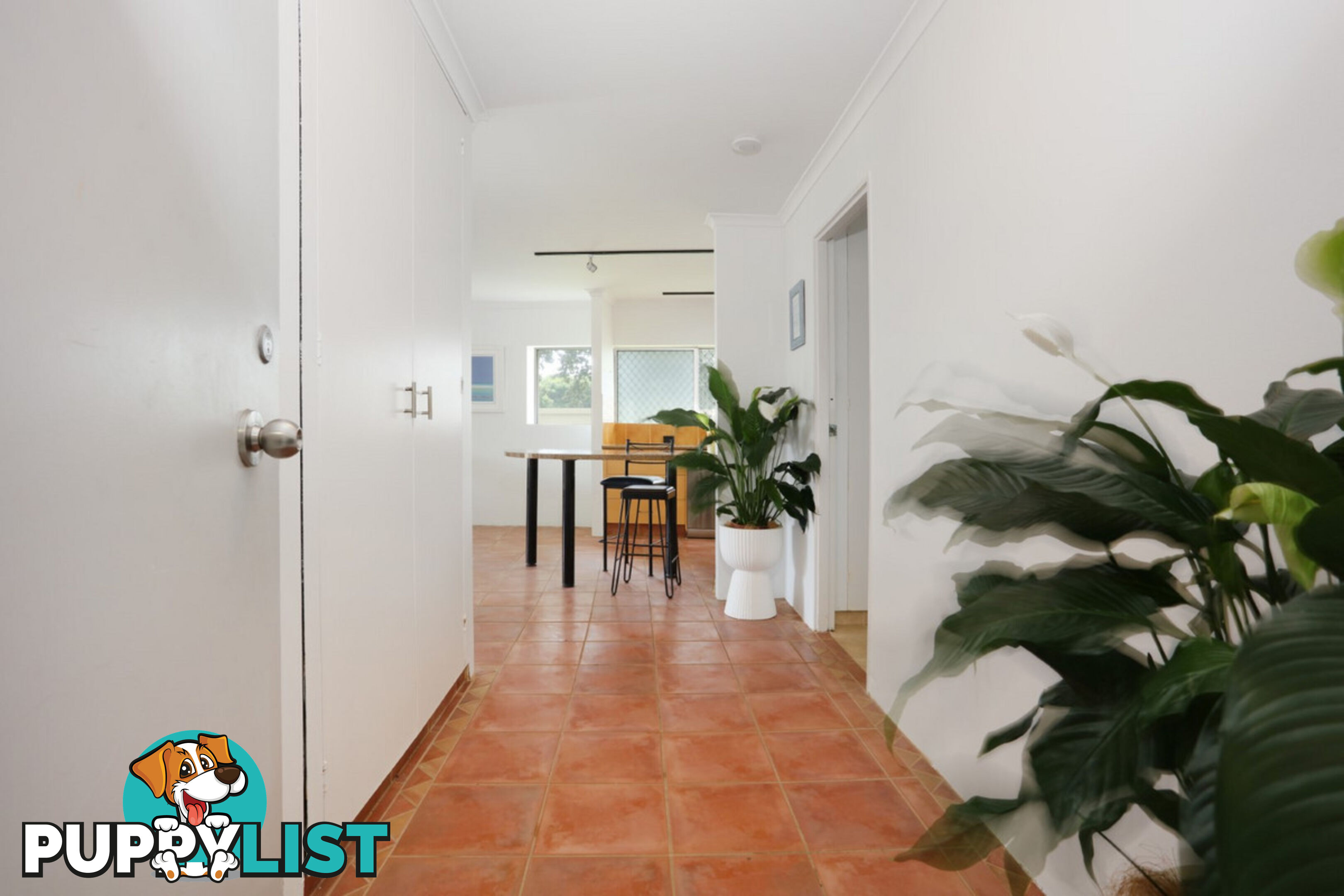 1 204 Ferny Avenue, Surfers Paradise QLD 4217