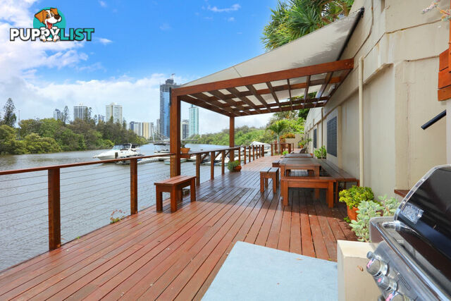 1 204 Ferny Avenue, Surfers Paradise QLD 4217