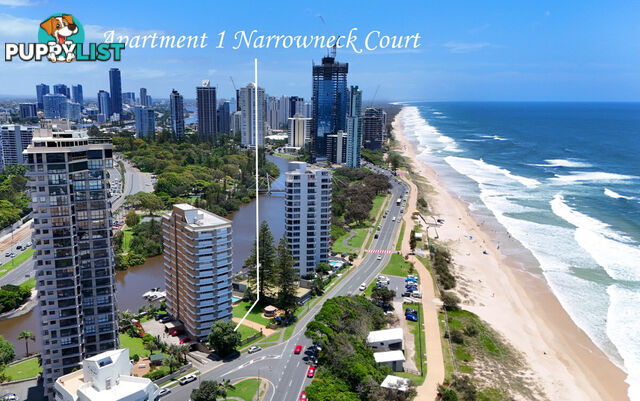 1 204 Ferny Avenue, Surfers Paradise QLD 4217